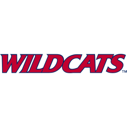 Arizona Wildcats Wordmark Logo 2013 - Present